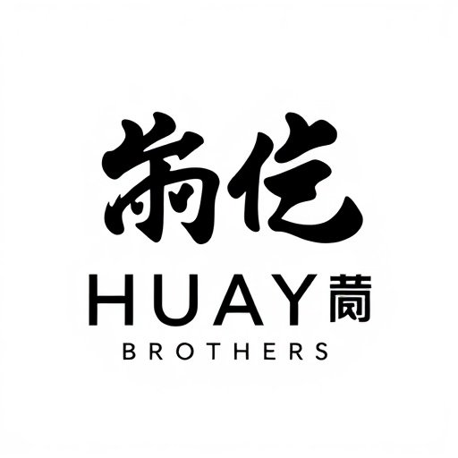 华谊兄弟